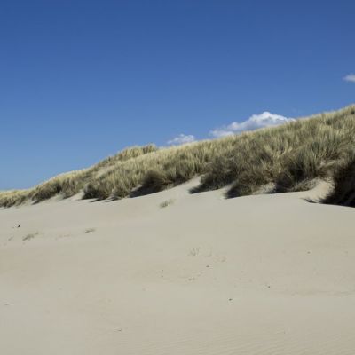 plage-gravelines-restaurant-vue-mer (1).jpg